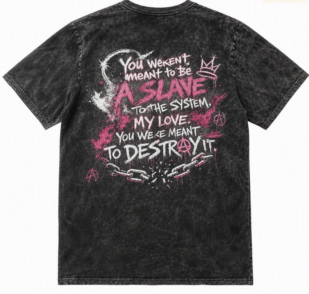 "Destroy The System" Vintage Mineral Wash Graphic Tee- YLG Collection